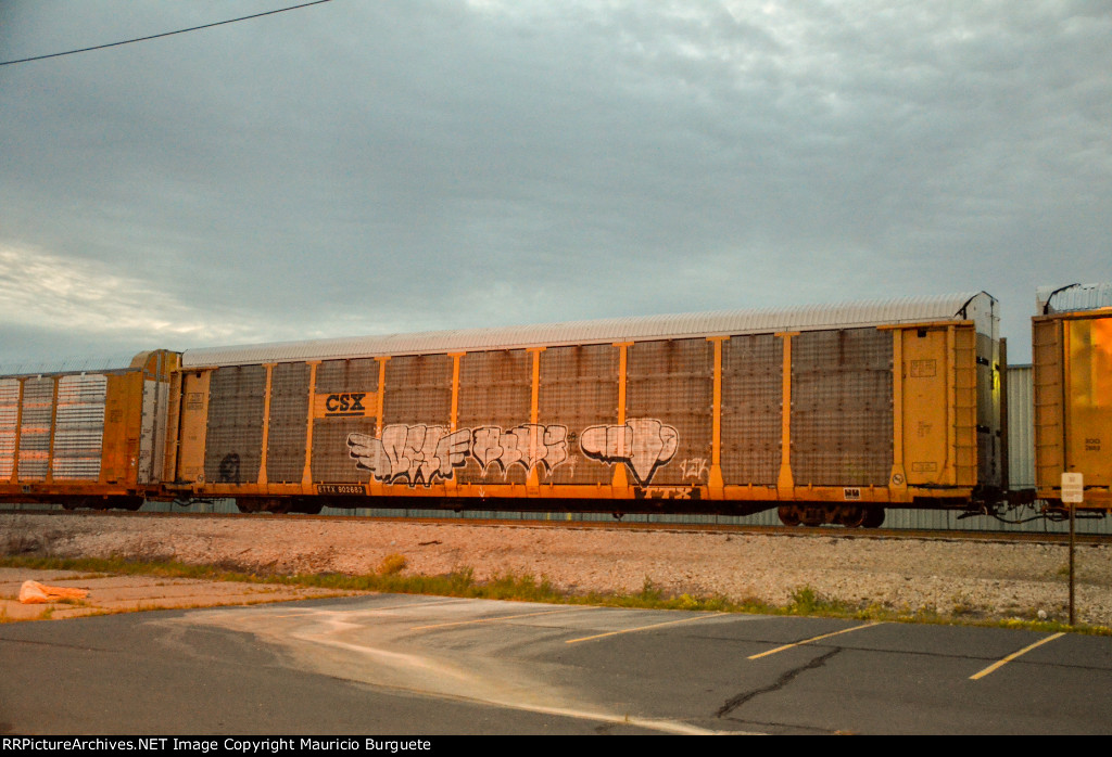 ETTX CSX Autorack